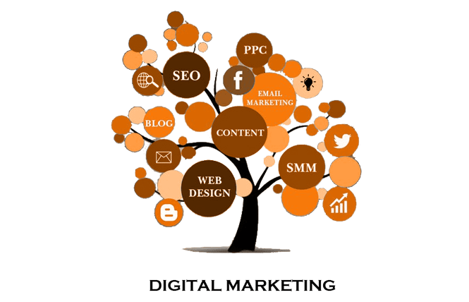 SEO-COMPANY-IN-INDIA